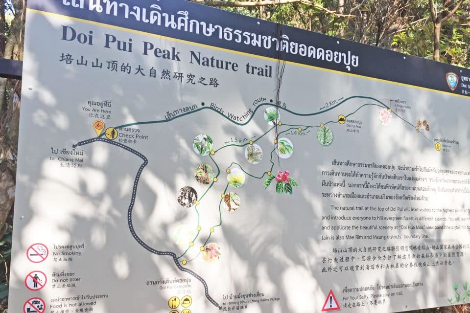 doi-pui-trail-photo