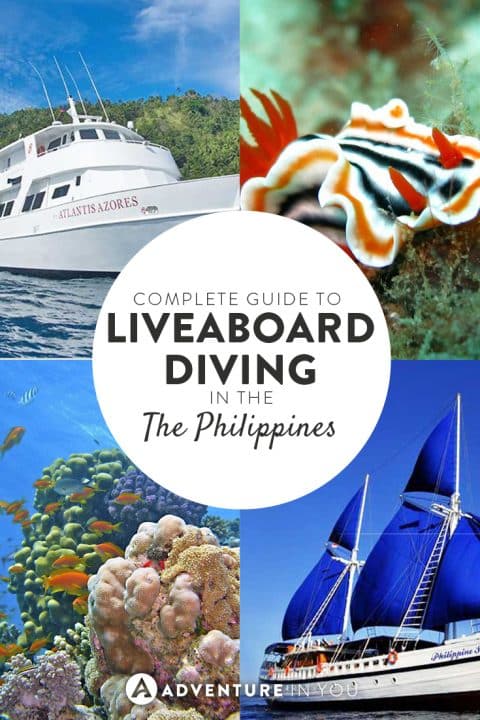 Want to go diving in the Philippines? Here are the best liveaboard diving experiences there