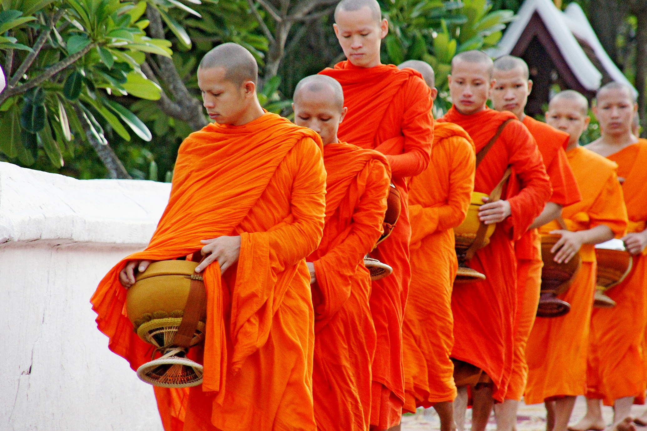Monks lining up for alms in Luang Prabang