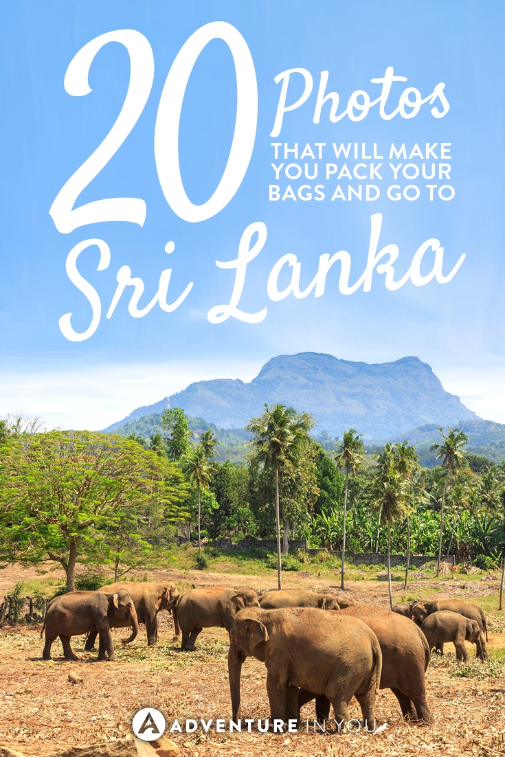 Looking for travel inspiration? These 20 photos of Sri Lanka will make you want to pack your bags and go now!
