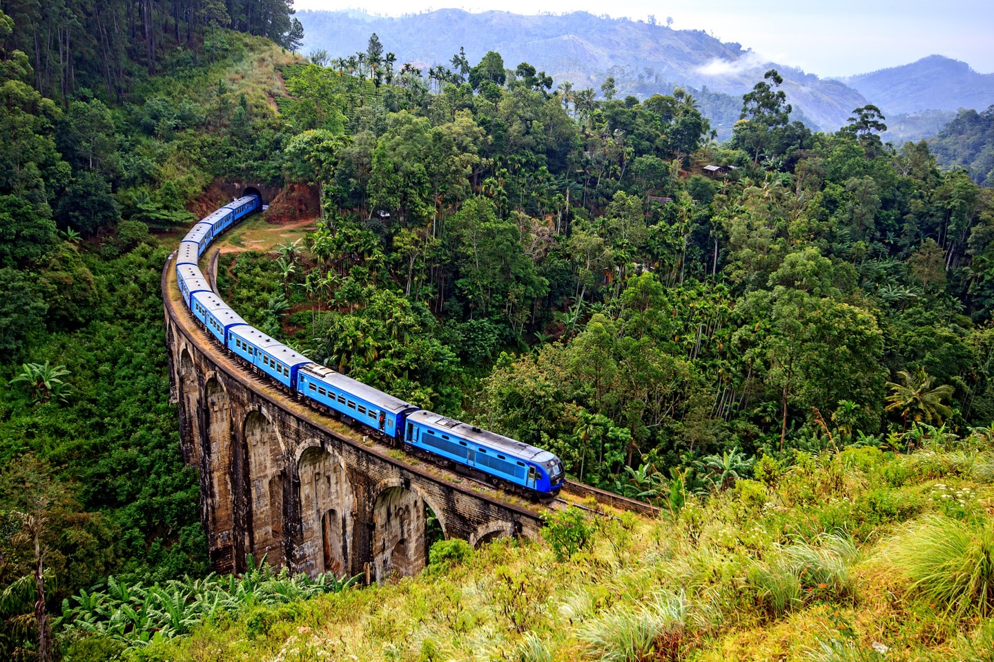 Train on the Nine Arch Bridge in Sri Lanka