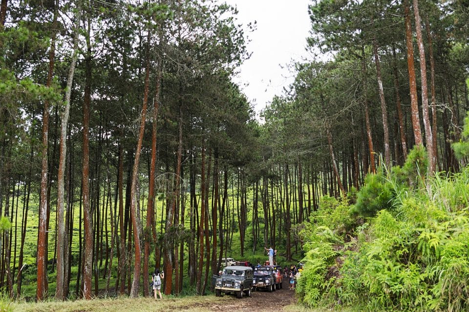 4WD off-raod Bandung Indonesia - Trees
