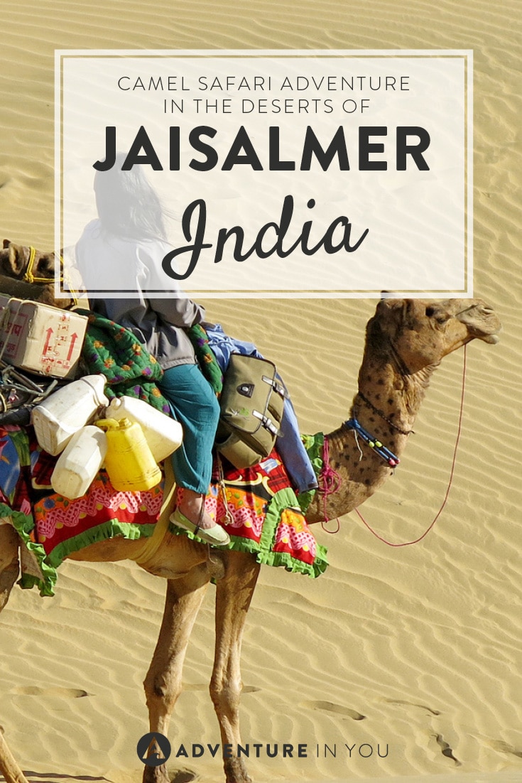 Want to travel to India? Go on a camel safari adventure in the deserts of Jaisalmer!