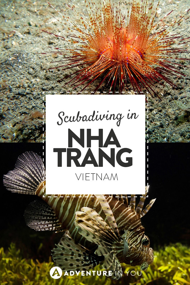Scubadiving in Nha Trang is an amazing experience! Check out how we found it