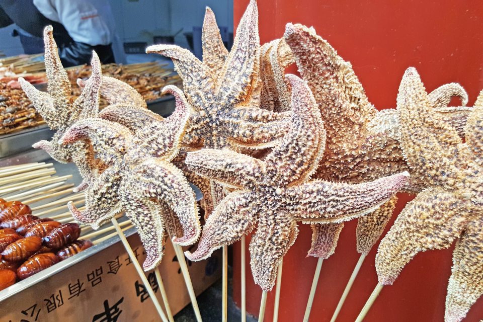 starfish china weird food