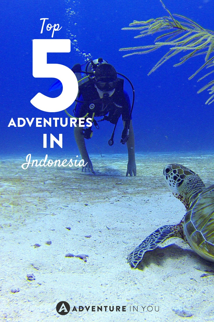 Heading to Indonesia? Make sure you don't miss out on doing these top 5 adventures!