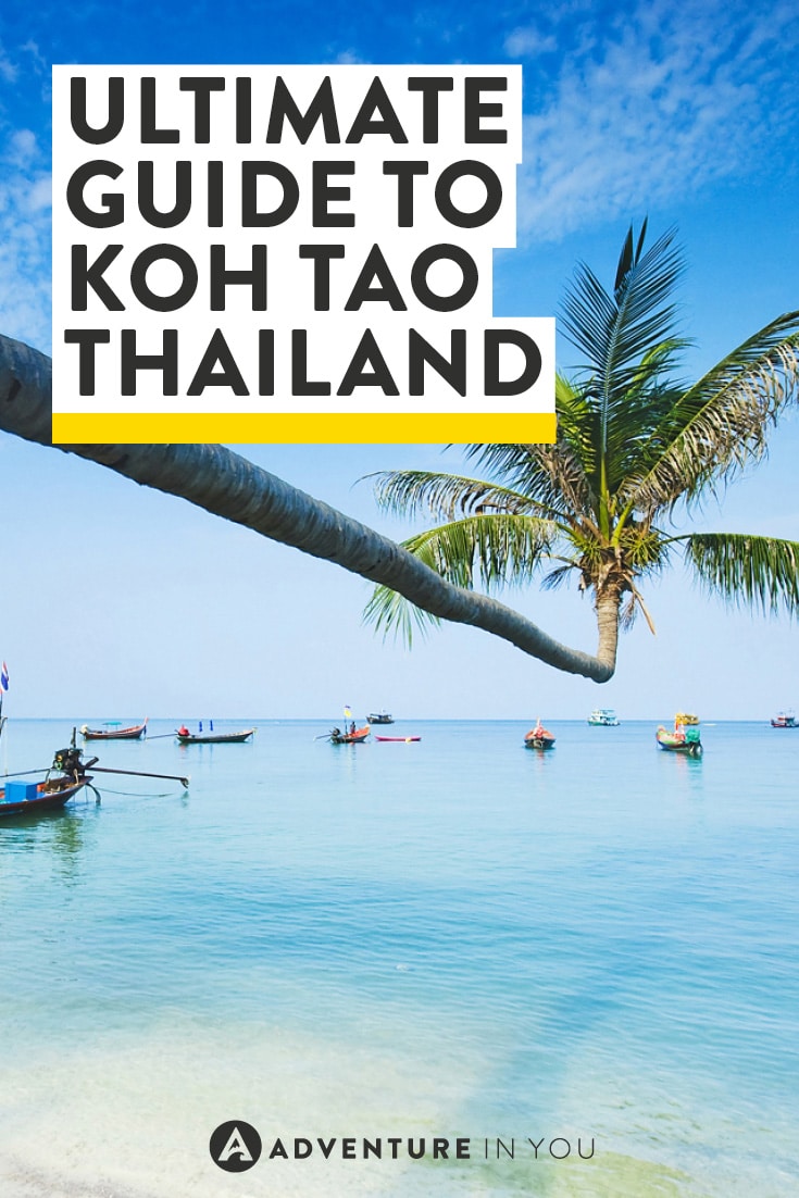 Ahh Koh Tao island in Thailand, the ultimate guide to have an awesome time!
