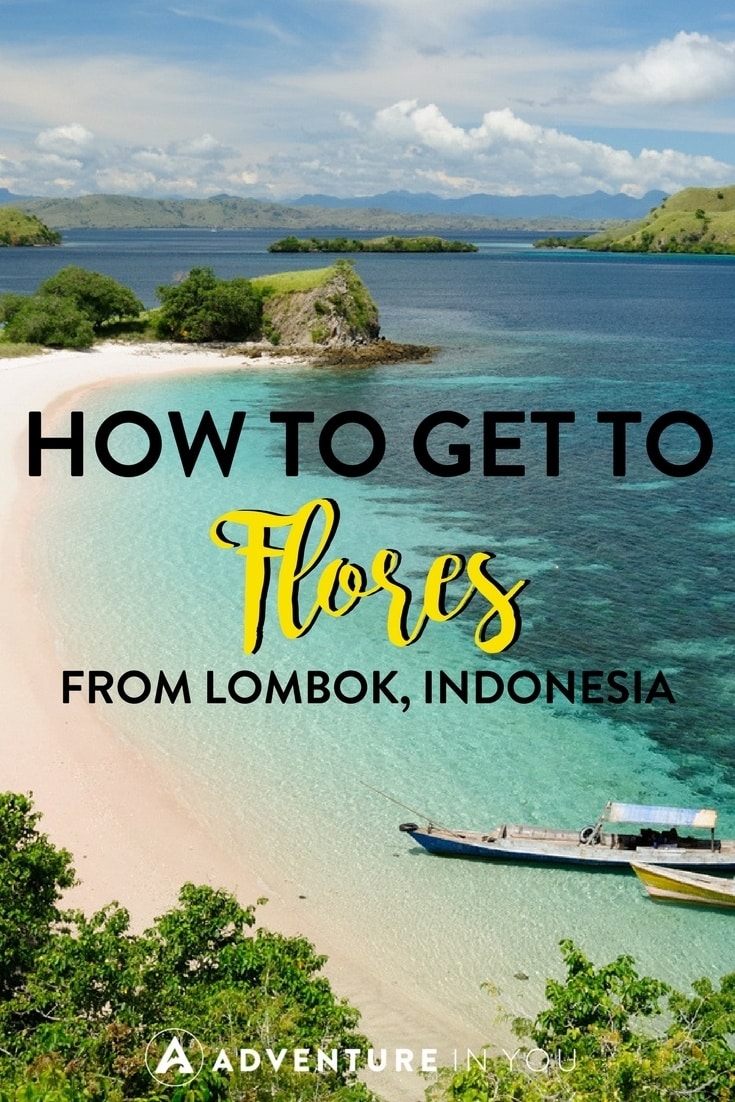Komodo National Park | Looking for ways on how to get from Lombok to Flores? Read our complete guide to help you get to Komodo National Park in Indonesia. #indonesia #komodo #flores #labuanbajo