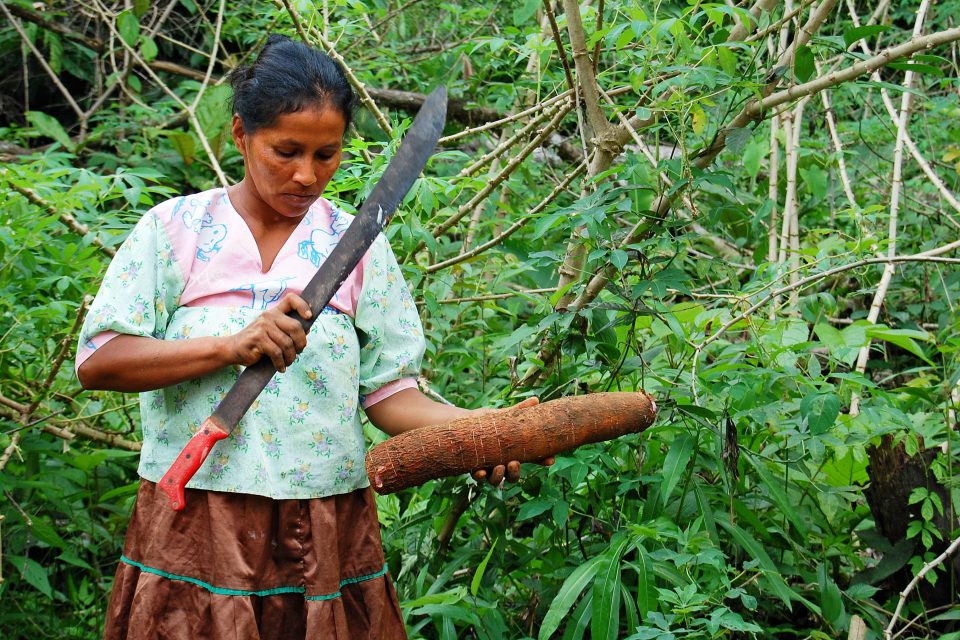 A woman with a machete in the forest
