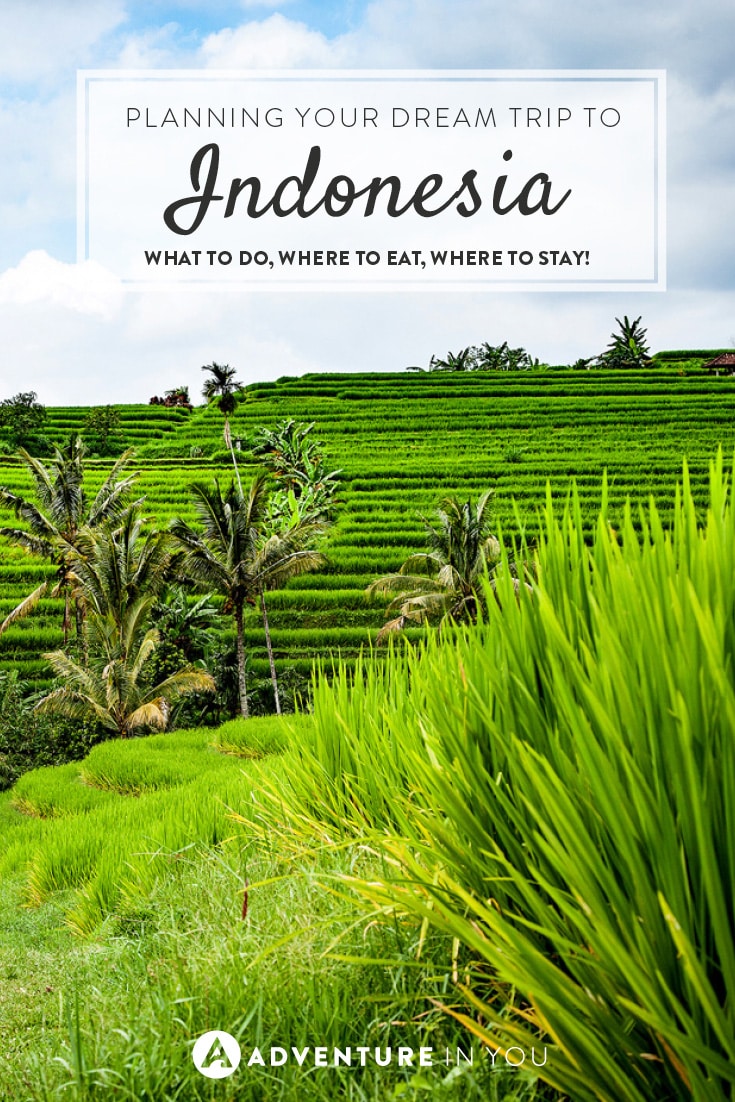 Planning a trip to Indonesia? Here's where to start!
