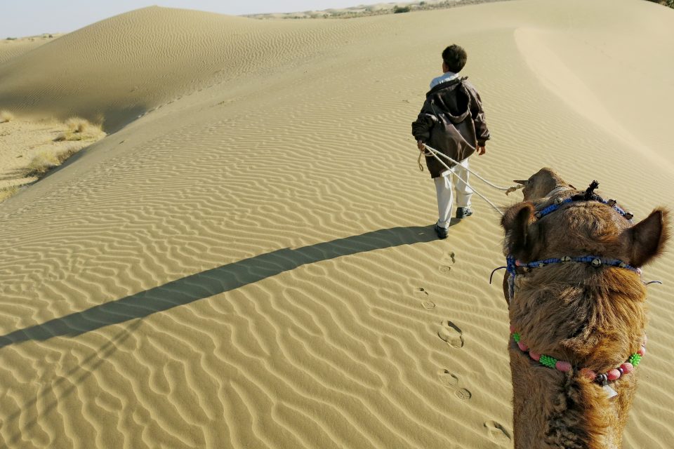 A man leading a camel