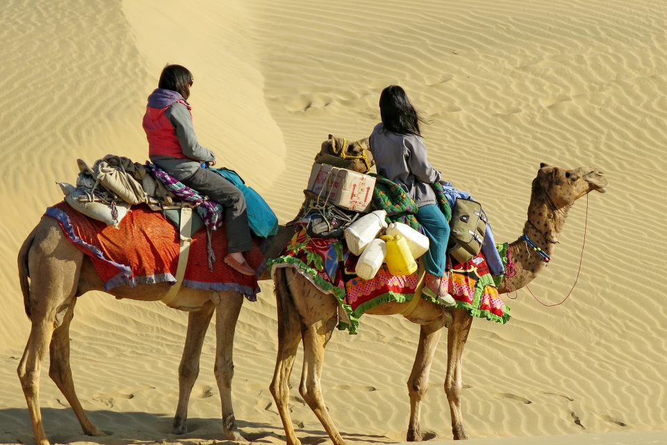 Women riding camels