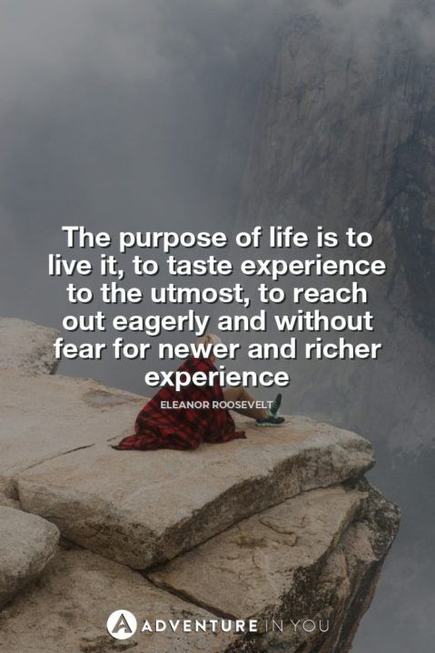 The purpose of life is to live it, to taste experience to the utmost, to reach out eagerly and without fear for newer and richer experience
