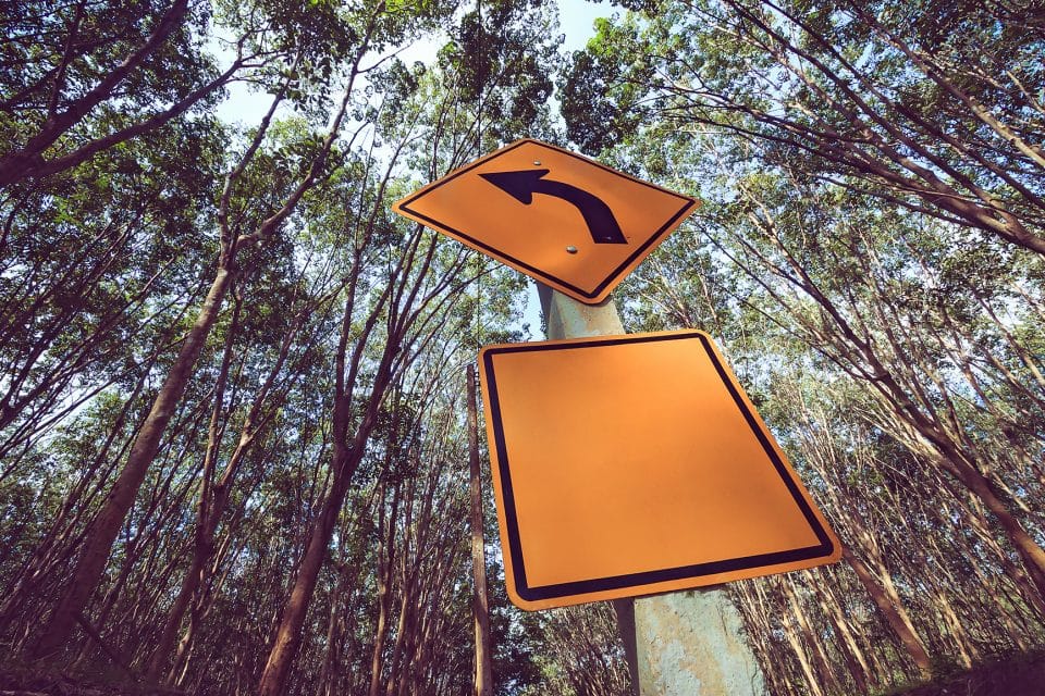 Signs in the forest