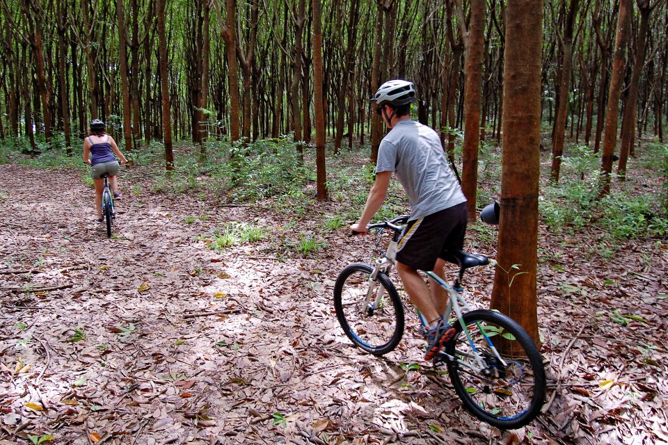A couple cycling through the forest