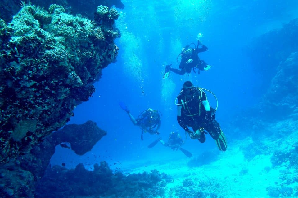 A group of divers in clear blue waters