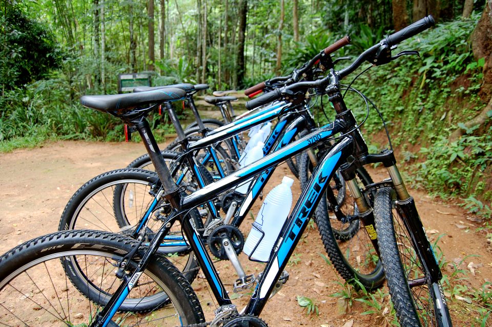 Multiple bikes in the jungle