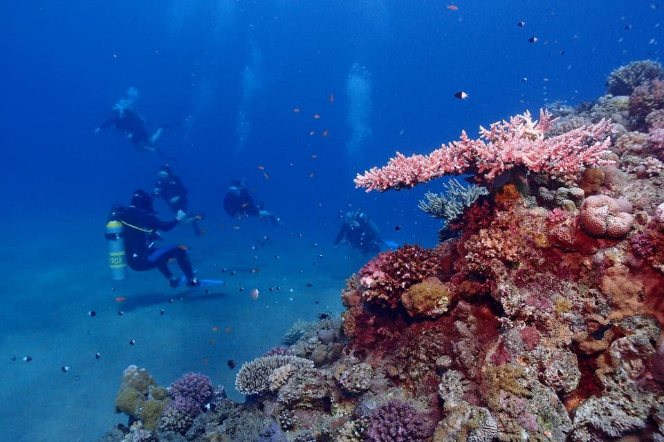 Divers next to a reef in blue waters