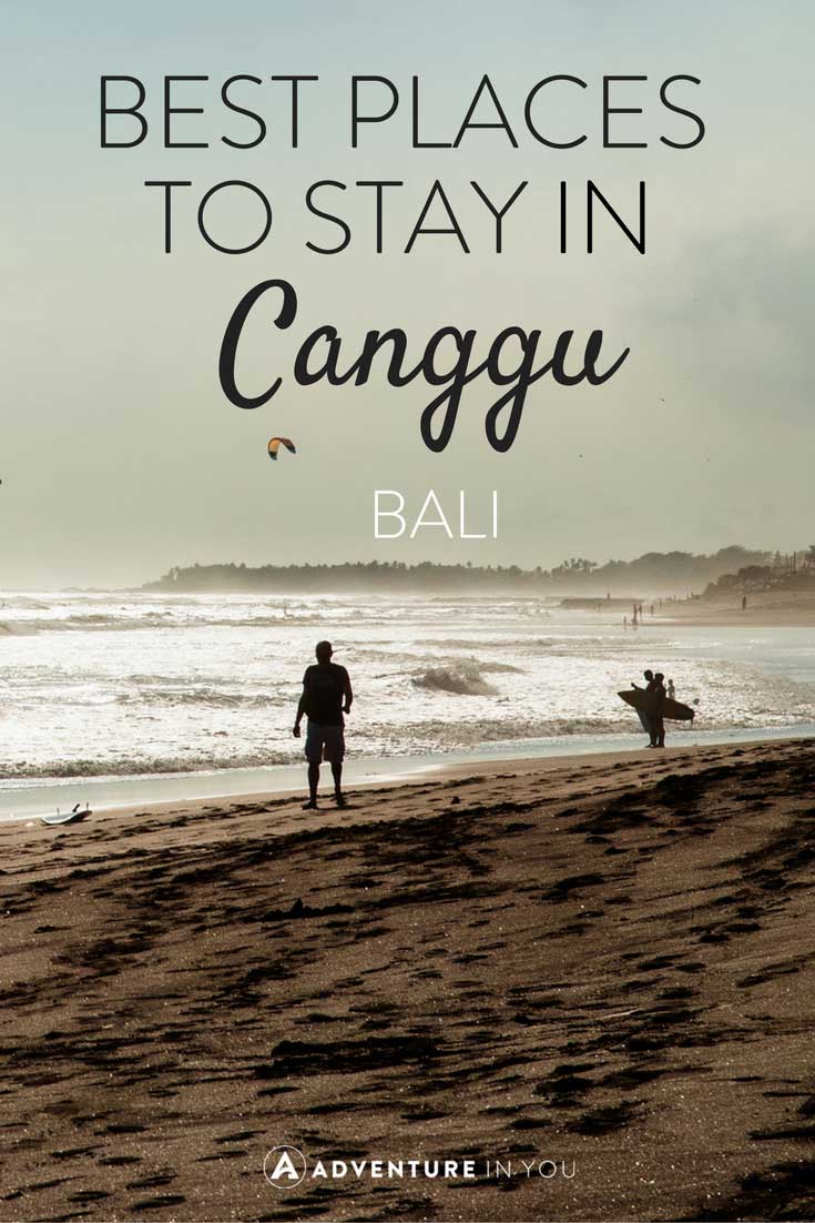Looking for the best place to stay while in Canggu Bali? Here are our recommendations