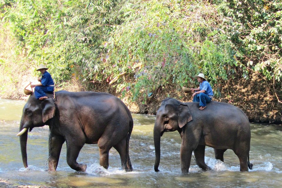 Two men riding elephants