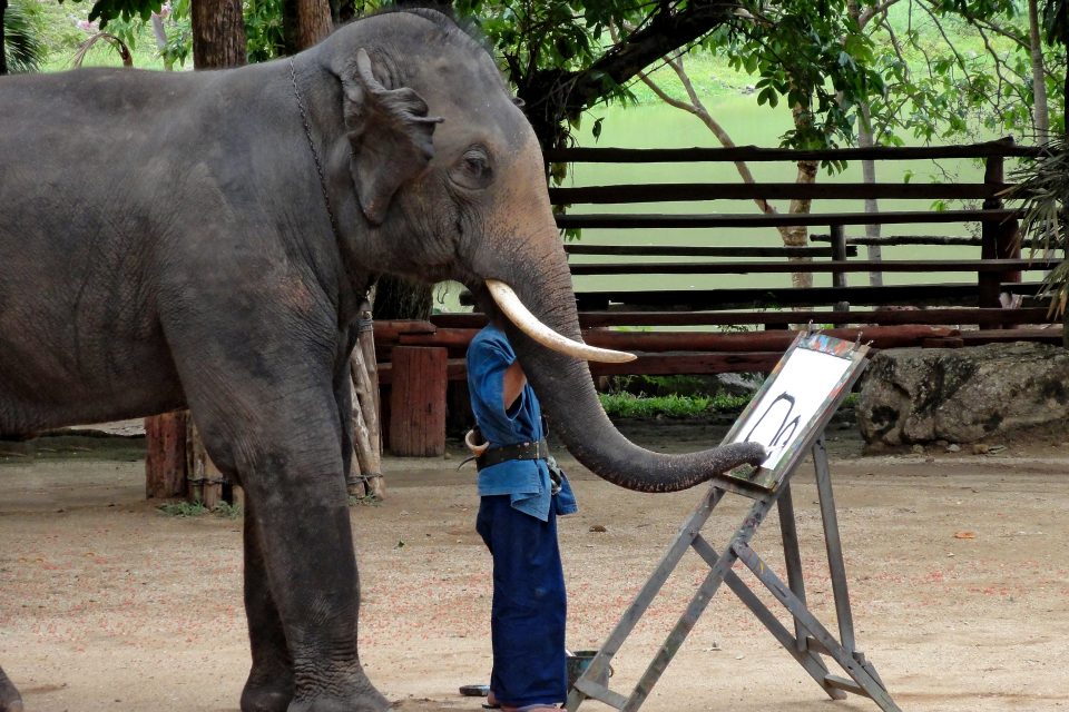 An elephant painting using it's trunk