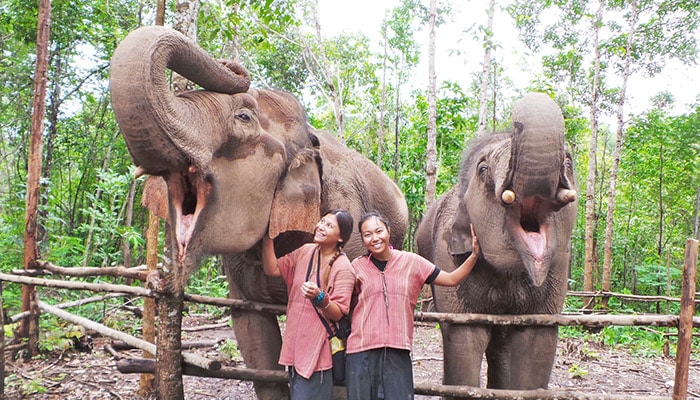 karen elephant experience review