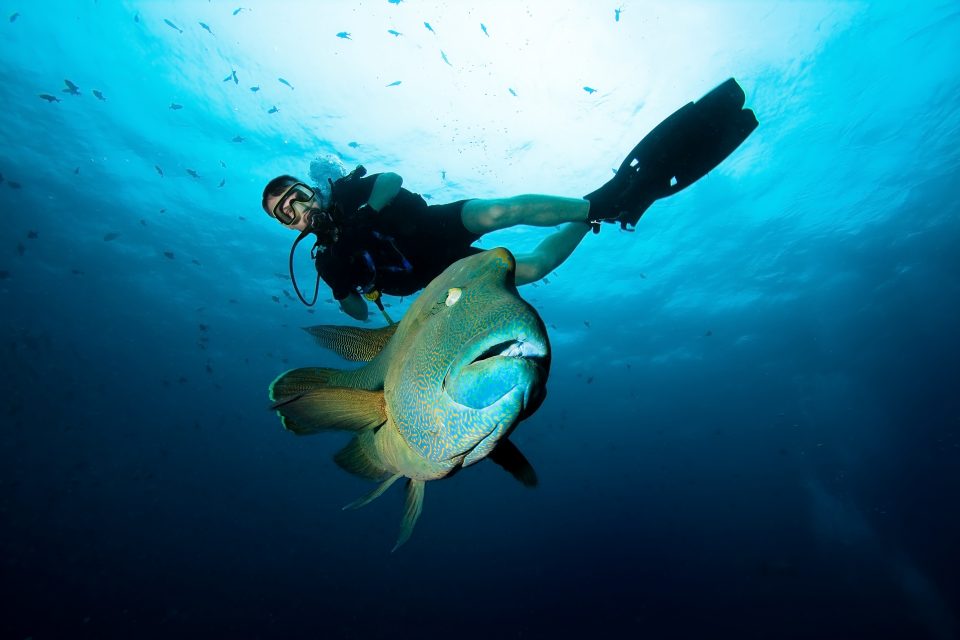 best diving in asia: andaman sea