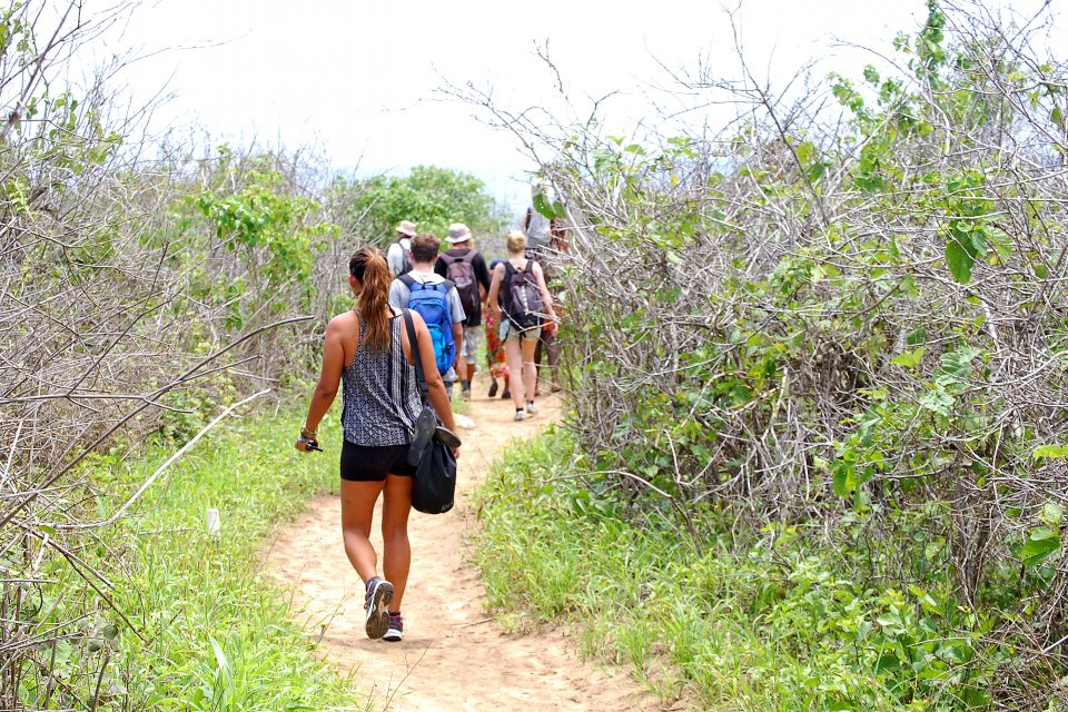 A group walking on a rugged outdoor path