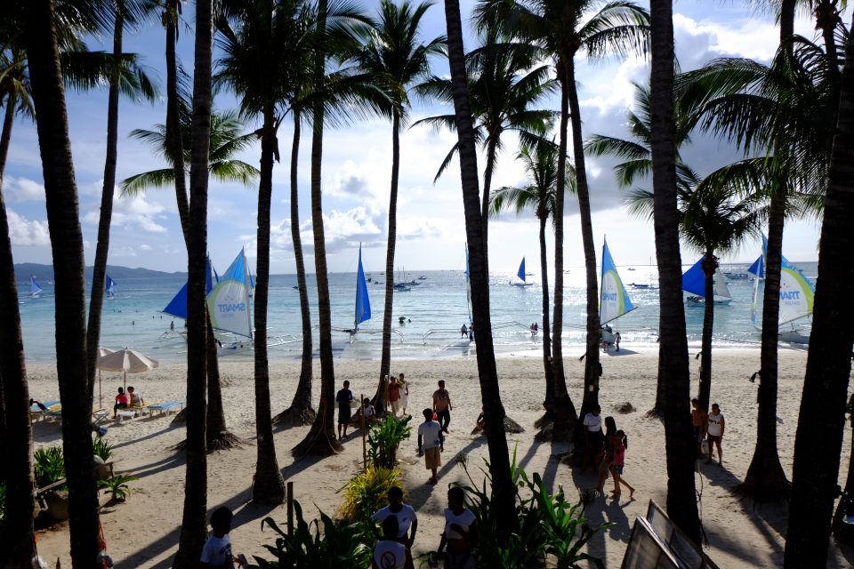 A view of sailboats on the sea through palm trees