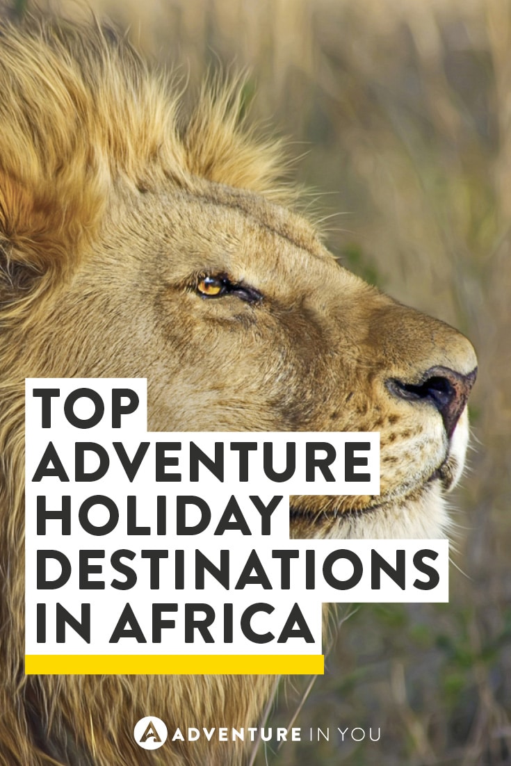 Thinking of heading to Africa? Take a look at the top adventure holiday destinations waiting to be explored.