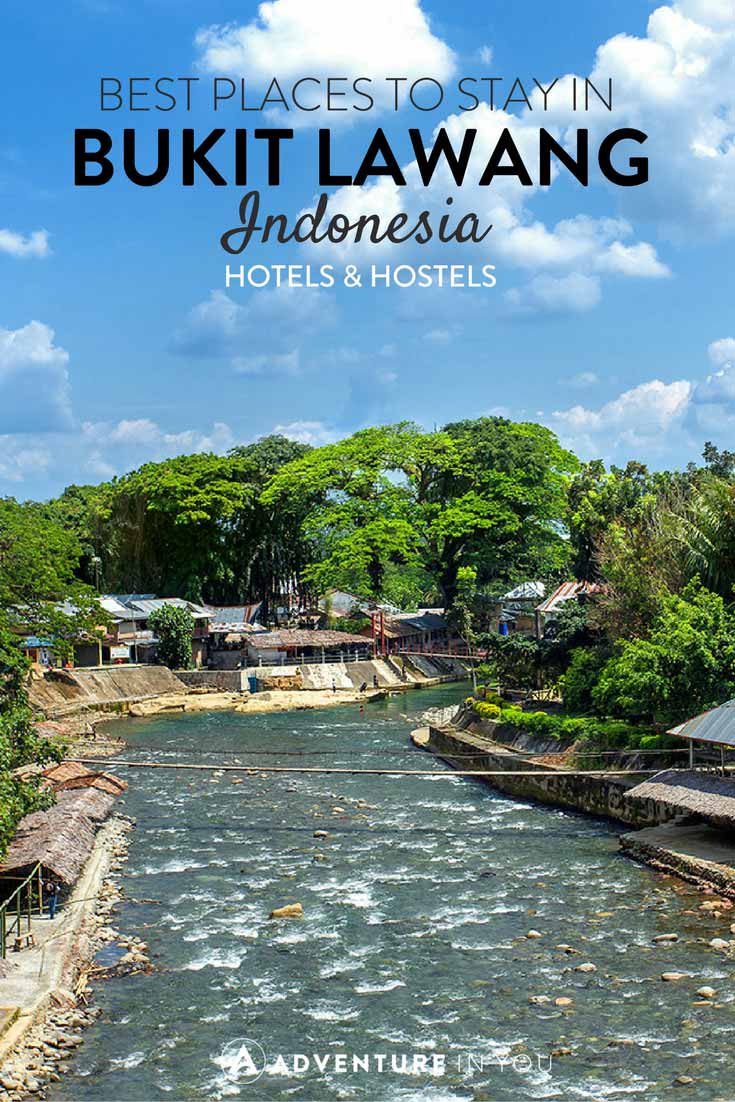 Bukit Lawang Indonesia | Looking for the best place to stay while in Bukit Lawang Indonesia? Here are our recommendations