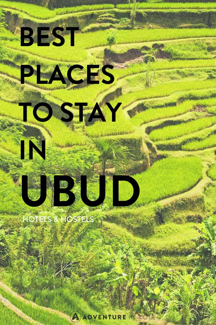 Ubud Bali | Looking for the best place to stay while in Ubud Bali? Here are our recommendations