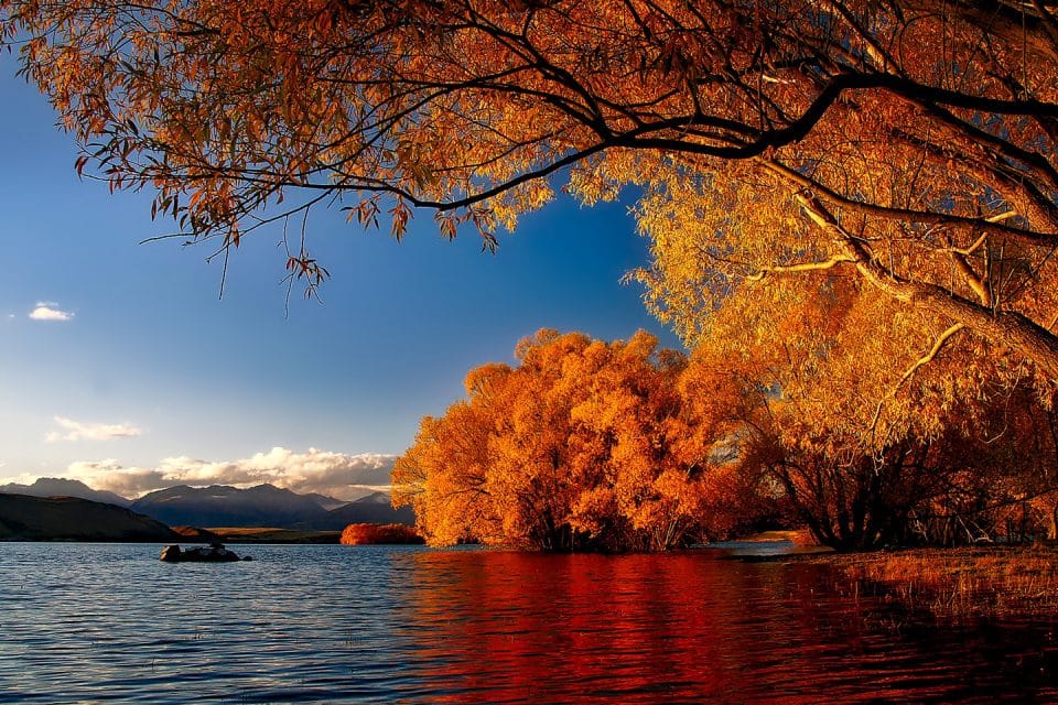 A lake and trees in autumn