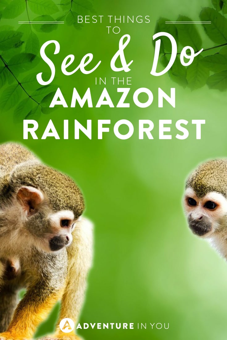 Looking for the best amazon adventures? Check out our list of must do things while in the Amazon Rainforest