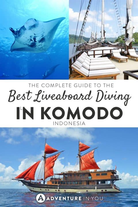 Planning an epic liveaboard trip to Komodo? Here is our complete guide, reviewing the best boats and crews.