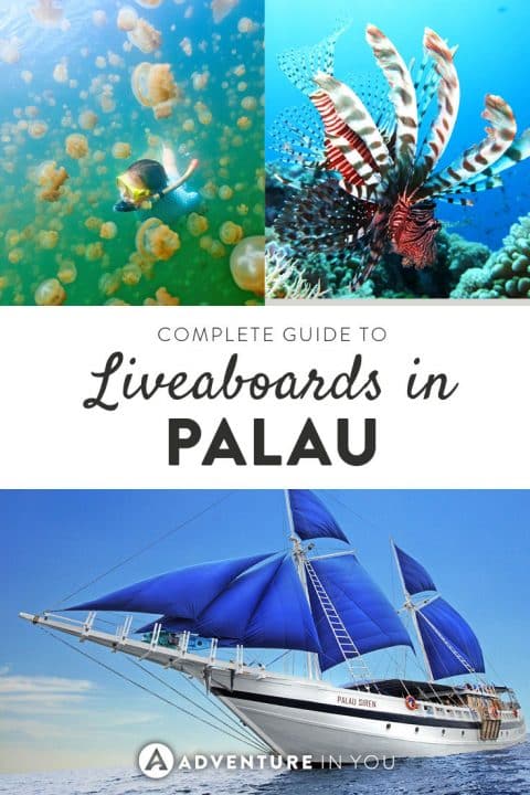 Diving in Palau | Complete Guide to Palau Liveaboards. From comparing boats to choosing the best dive sites
