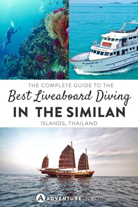 Planning to go on a liveaboard expedition while in Thailand? Here is our complete guide to help you find the best liveaboard boats in similan island