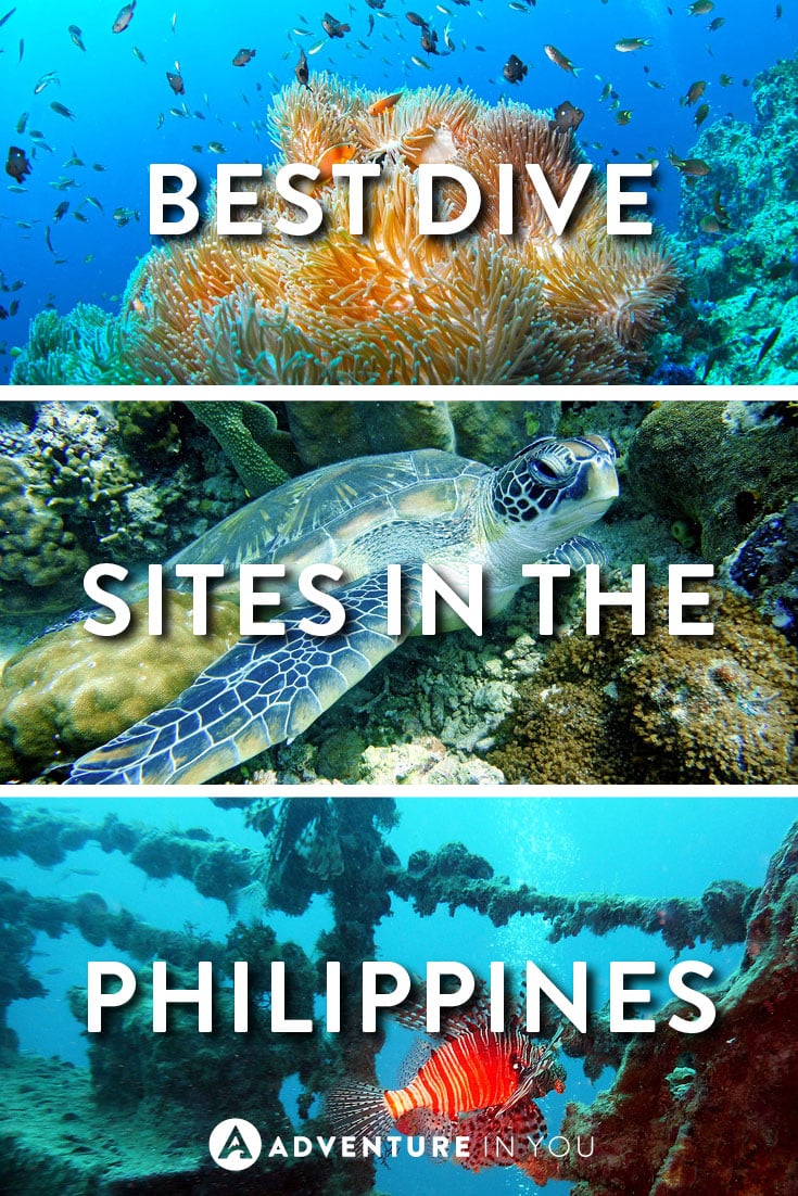 Philippines Diving | Planning on traveling to the Philippines? Consider exploring their many famous dive sites from underwater shipwrecks to seeing large pelagics. Diving in the Philippines is world class!