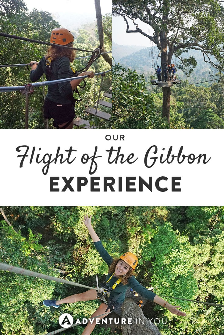Ziplining Thailand | Looking for fun adventures to take on? Try the Flight of the gibbon experience in Thailand as you zoom past treetops