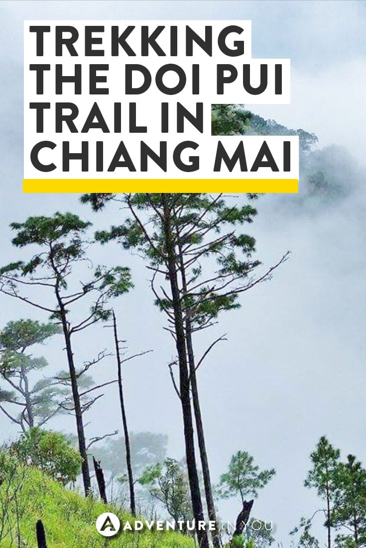 Chiang Mai Thailand | Planing a trip to Thailand? Consider Trekking the Doi Pui Nature Trail in the Doi Suthep Pui National Park