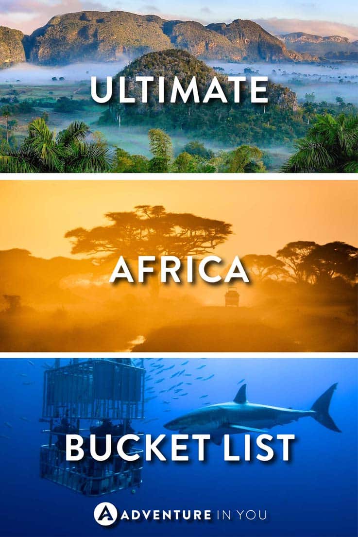 Africa Travel | Looking for the best things to do in Africa? Read our article and find out which things to do in Africa you need to add to your travel bucket list