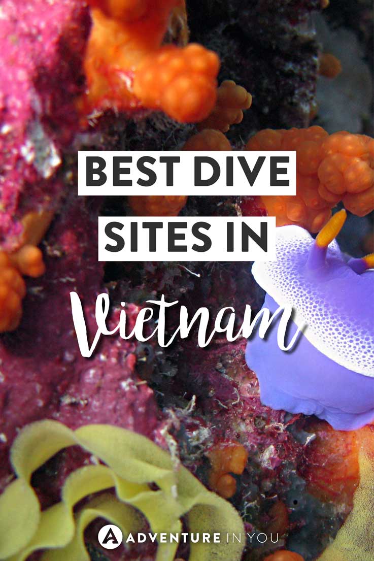 Vietnam Diving | Looking for the best dive sites to explore while in Vietnam? Here are our top picks for the best dive sites in Vietnam