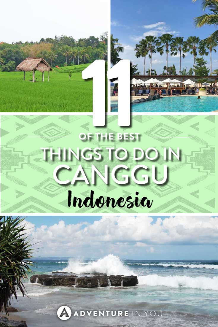 Canggu Bali | Looking for recommendations on things to do in Canggu Bali? Bali is considered the hipster area of Indonesia and is a favorite among surfers, digital nomads, and yogis. Here are our top recommendations on what to do in Canggu