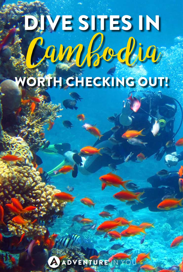 Cambodia Travel | Planning to go scuba diving in Cambodia? Check out our article featuring the best Cambodia dive sites!