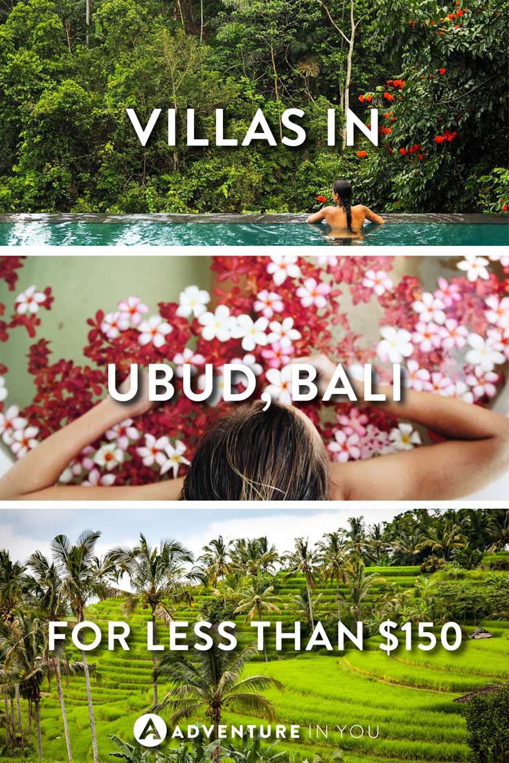 Ubud Bali | Looking for villas in Ubud, Bali? Our where to stay guide in Ubud will give you our top tips on the best places to stay in Ubud in 2019! #Bali #Ubud