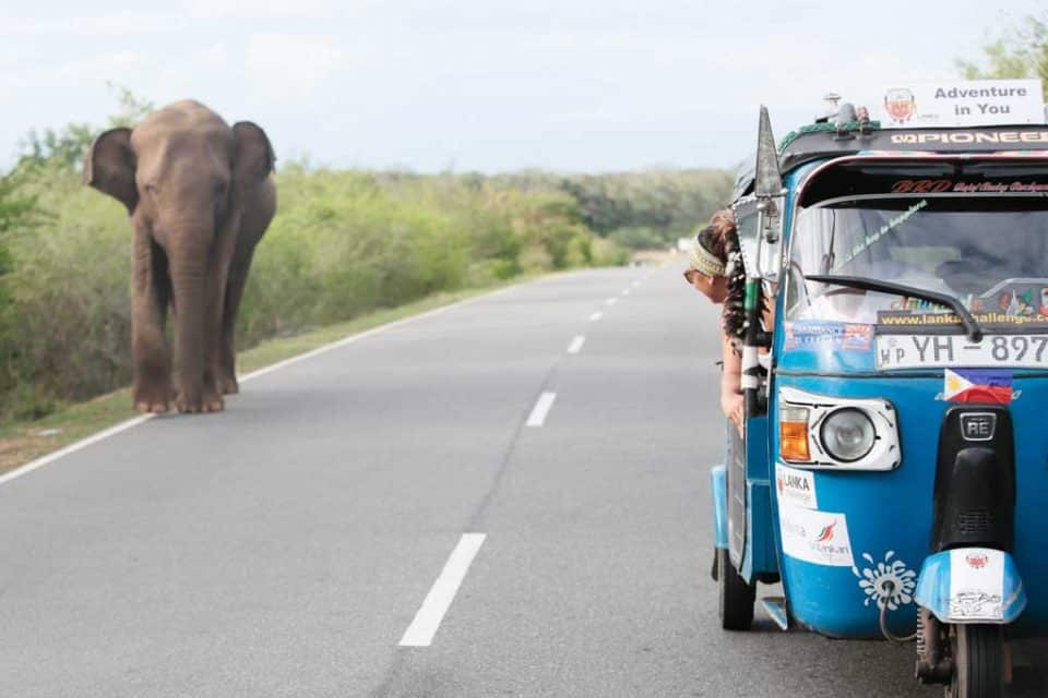 Lanka challenge elephants