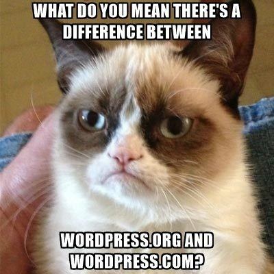 wordpress-meme