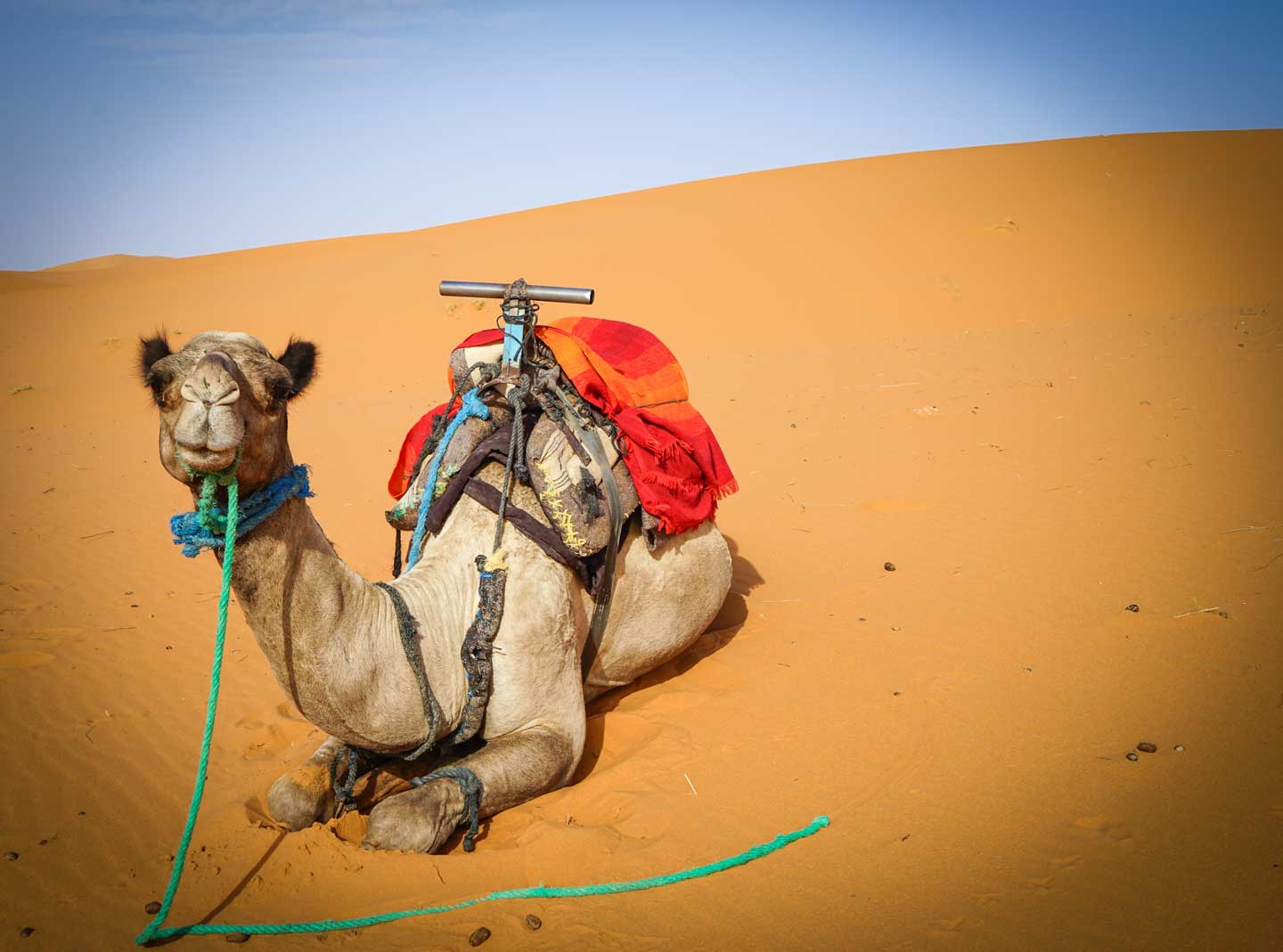 marrakesh-camel-trek