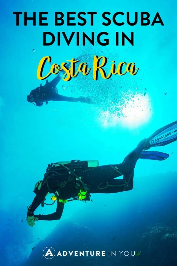 Diving in Costa Rica | Interested to find out about the different diving sites in Costa Rica? Here are a few of the best ones. Take a look at out article featuring all the different dive sites and what you can find in each place. #costarica #diving #divingcostarica