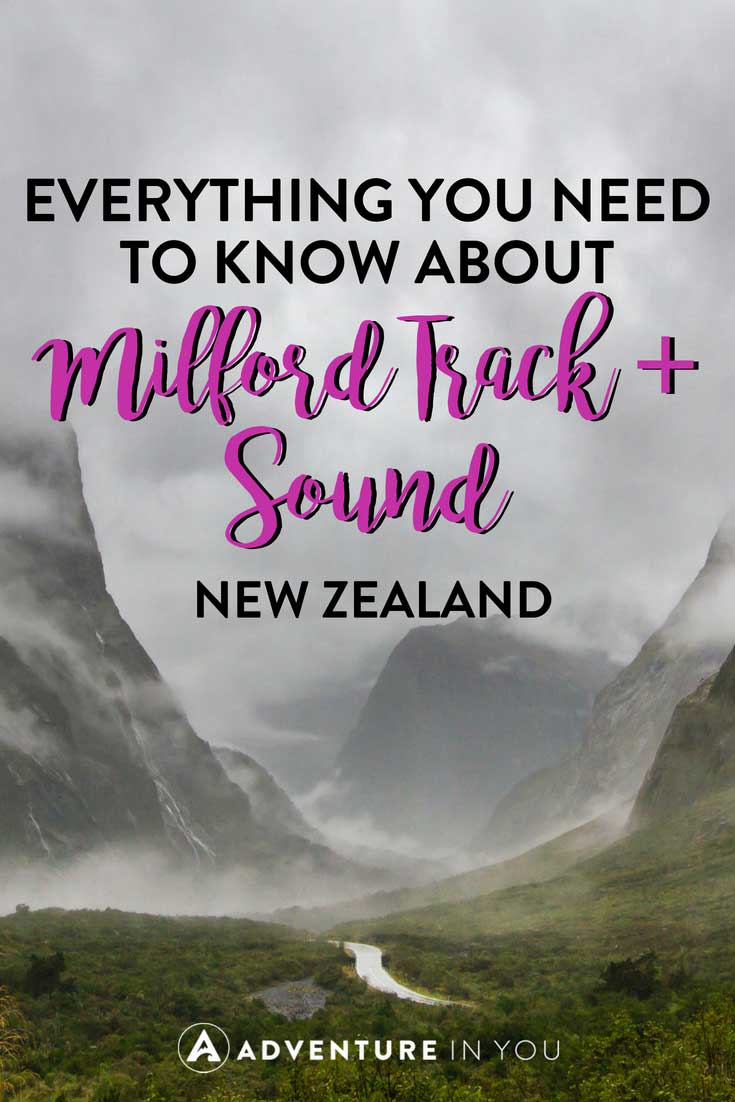Milford Track New Zealand | Looking for information on Milford Track and Milford Sound New Zealand? Here are our top tips on how to take on this epic trek #newzleand #milfordtrack